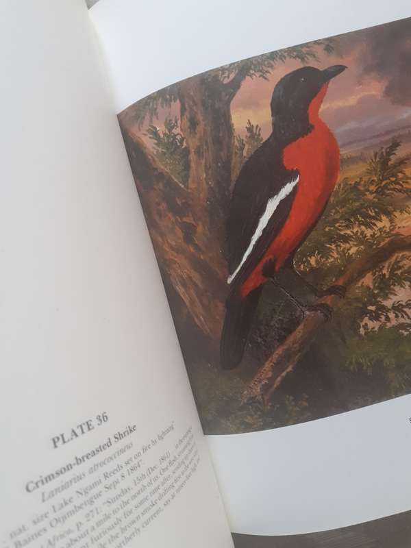 The Birds of South Africa ~ Thomas Baines