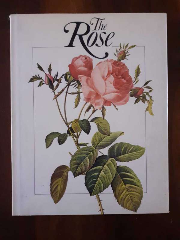 The Rose ~ Mechlin / Browne (Consultants)