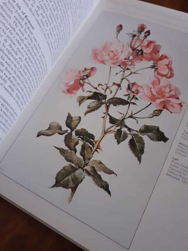 The Rose ~ Mechlin / Browne (Consultants)
