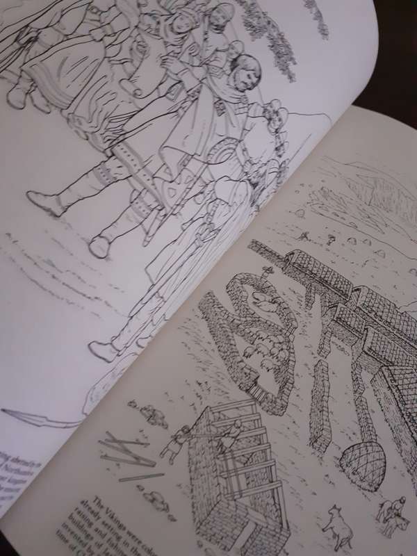Story of The Vikings - COLOURING IN BOOK ~ A G Smith