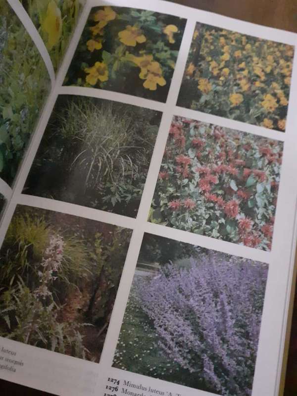 The Colour Dictionary of GARDEN PLANTS ~ THE ROYAL HORTICULTURAL SOCIETY