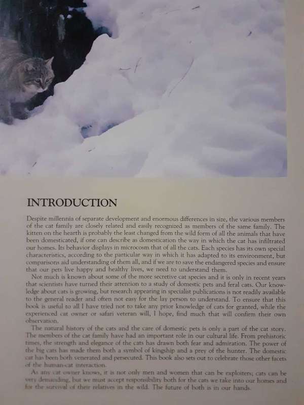 The Noble Cat ~ Howard Loxton