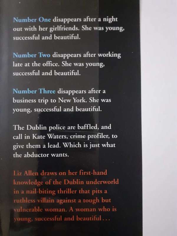 The Set-Up ~ Liz Allen