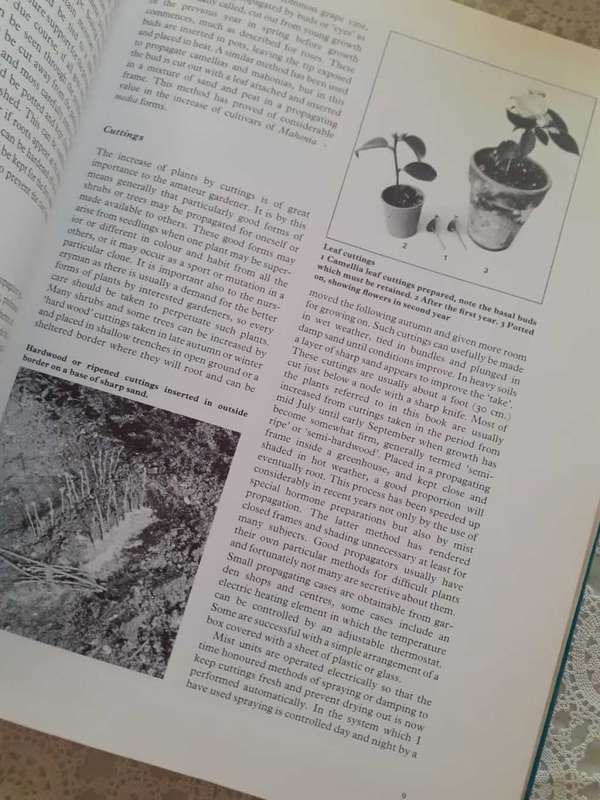 The Dictionary of Shrubs in Colour ~ S Millar Gault