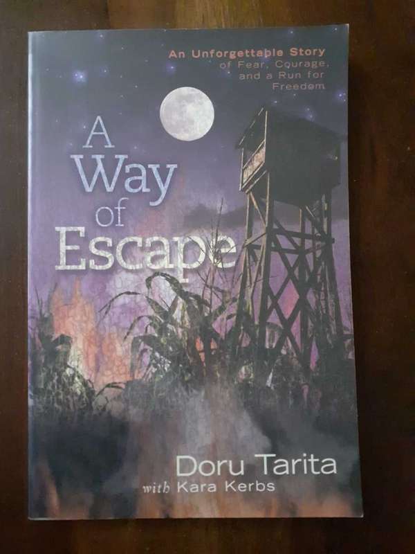 A Way of Escape ~ Doru Tarita