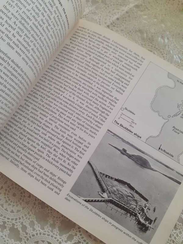 The Viking Ships ~ Ian Atkinson