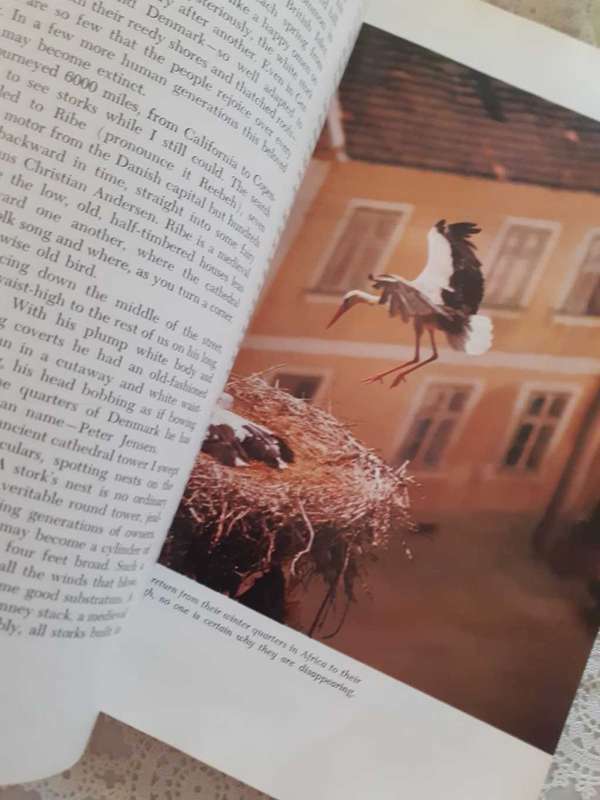 Marvels & Mysteries of our Animal World ~ READER`S DIGEST