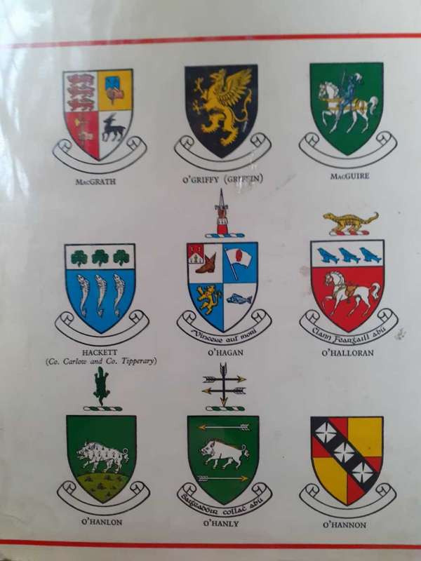Irish Families ~ Edward MacLysaght