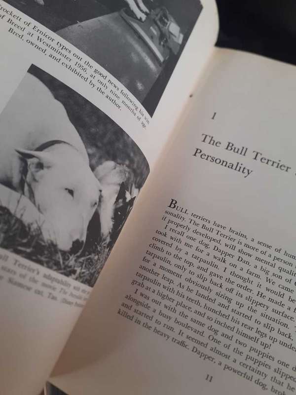 The New Complete Bull Terrier ~ Ernest Eberhard