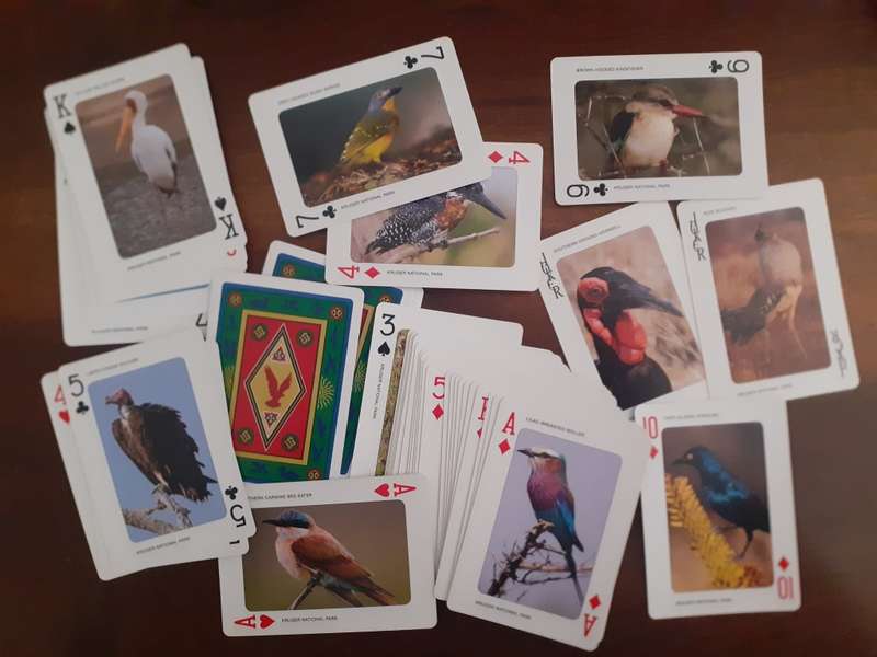 Playing cards - Birds of the Kruger Park