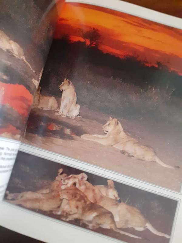 (signed) Nightstalk - The Story of a Kruger Pride ~ Bruce Aiken