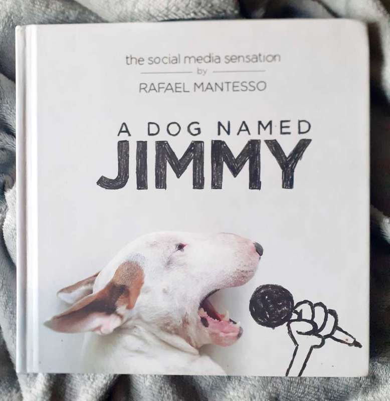 A Dog Named Jimmy ~ Rafael Mantesso