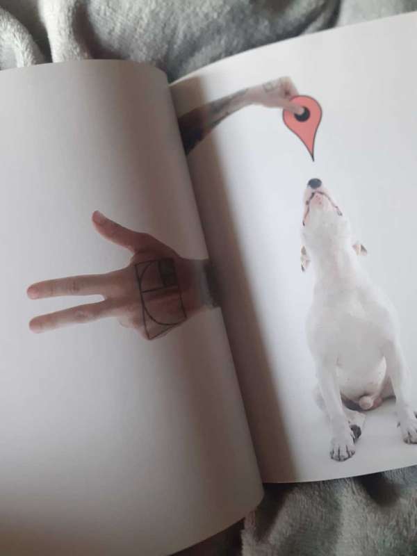 A Dog Named Jimmy ~ Rafael Mantesso