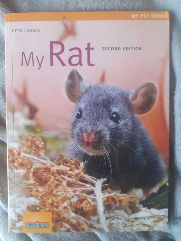 My Rat ~ Gerd Ludwig