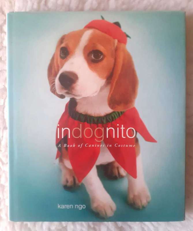 Indognito ~ Karen Ngo