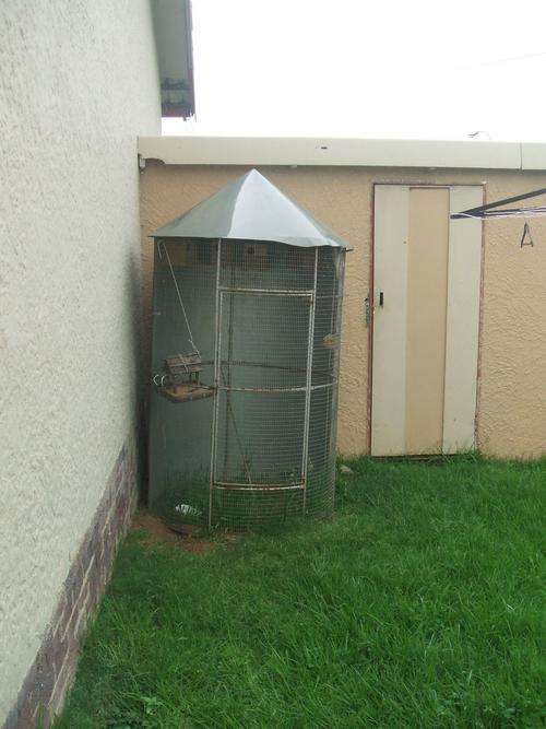 Bird Cage