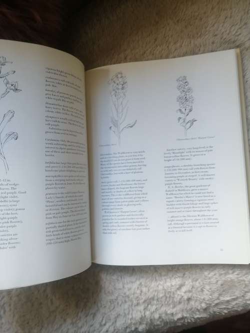 The family of Flowers
