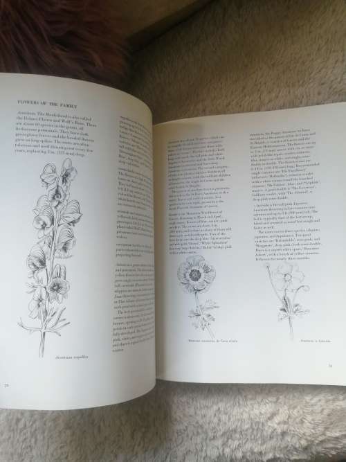 The family of Flowers
