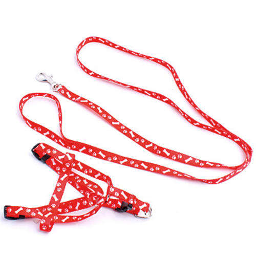 LEASH AND HARNESS SET **NEW**