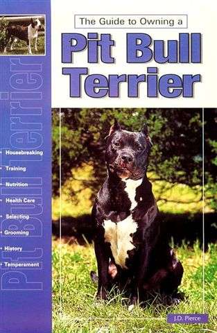 *** AMERICAN PIT BULL TERRIER ***