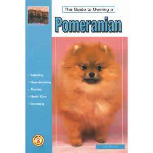 THE GUIDE TO OWNING A POMERANIAN