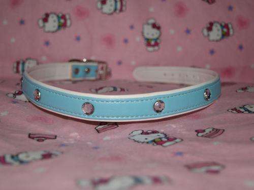 blue dog collar