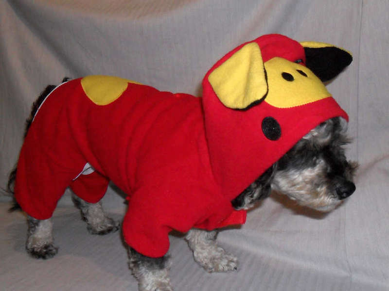 Adorable dog  jersey with hood