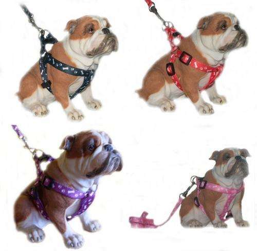 HARNESS SETS  LEASH INCLUDED