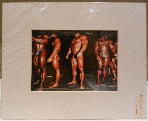 Mr Olympia Finalists (Fetish Art)