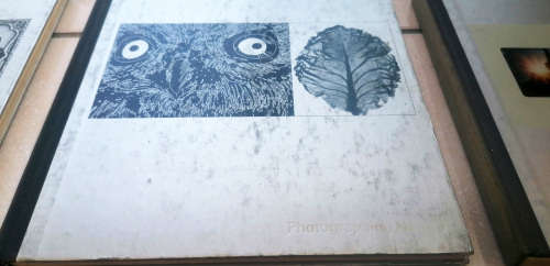 Vintage Photography Books