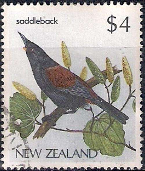 NEW ZEALAND