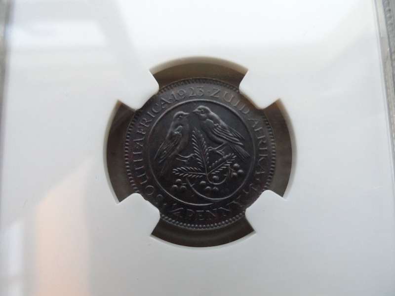 $$$ 1923 1/4 d UNION - NGC MS61 $$$