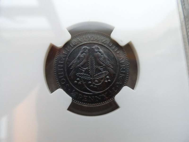 $$$ 1924 1/4 d UNION - NGC MS62 $$$