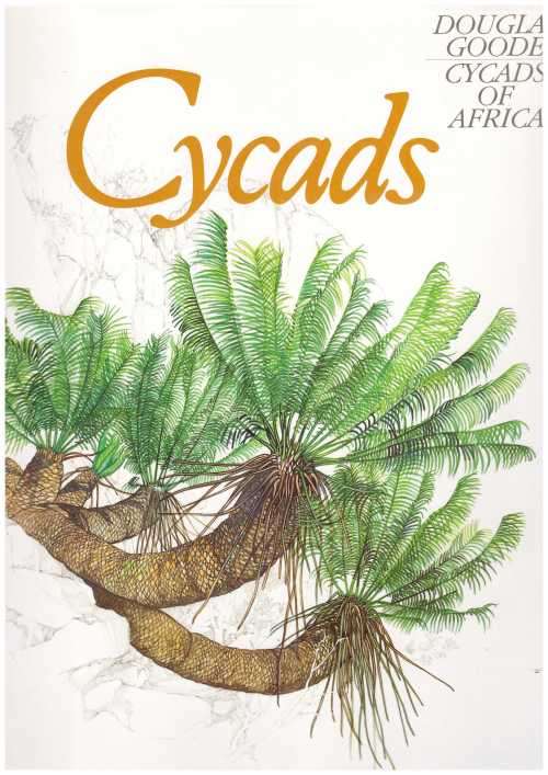 CYCADS OF AFRICA