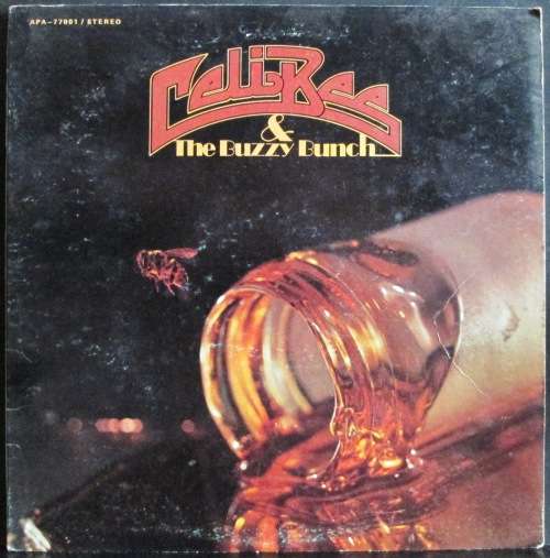 CELI BEE & THE BUZZY BUNCH - CELI BEE & THE BUZZY BUNCH  (LP/VINYL)