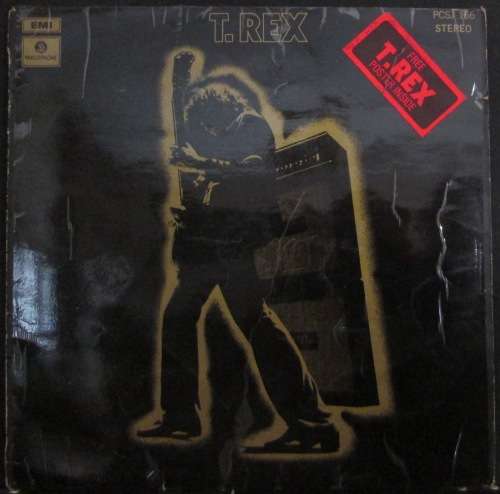 T. REX  - ELECTRIC WARRIOR   (LP/VINYL)