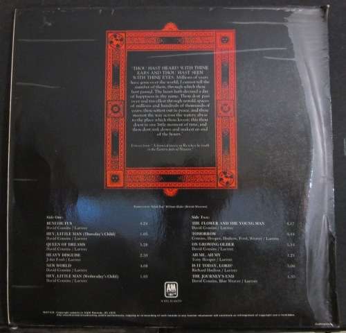 STRAWBS - GRAVE NEW WORLD   (LP/VINYL)