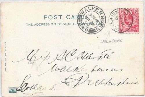 Orange River Colony 1905 KEVII on picard with Wolwehoek cods addressed to Scotland fine