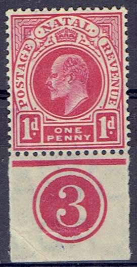 Natal 1904 KEVII 1 deep carmine control 3 marginal copy very fine mint