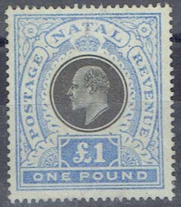 Natal 1902 KEVII £1 black and bright blue very fine mint