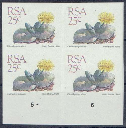 South Africa 1988 Succulent Definitive 25c imperforate marginal block very fine unmounted mint