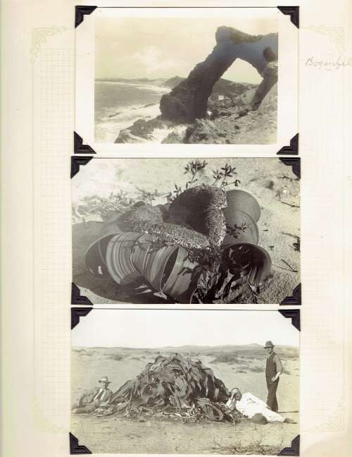 South West Africa 1931 Pictorial used collection to 20s in pairs, blocks etc