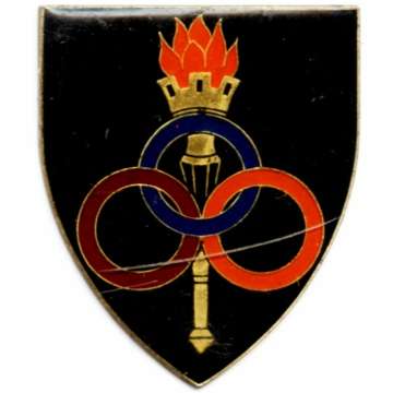 Services School Metal Shoulder Flash.
