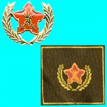 5 Year Voluntary Service Metal and Cloth Badges.