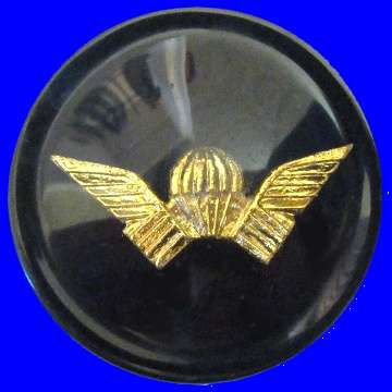 Rhodesian Selous Scouts Badge Encapsulated in a Resin Beer Coaster.