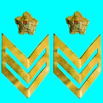 A Pair of Old S.A. Police Sargent Metal Rank Insignia.