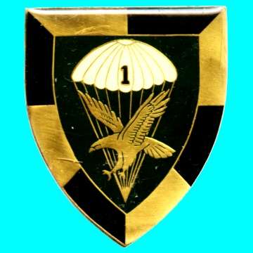 1 Para Battalion Metal Shoulder Flash - Missing all 3 Pins.