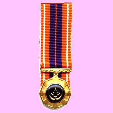 Pro Patria Medal - Miniature.