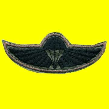 Air Supply Instructor Wings for Nutria. - Sew-on Badge.