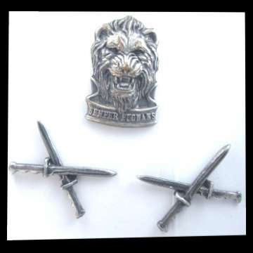 S.W.A. Reaction Force Infantry Cap and Collar Badges.